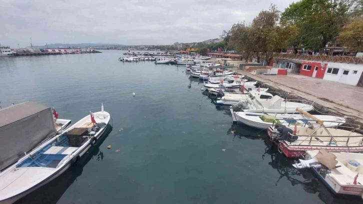 10 günlük esaret bitti: Şimdi de yunuslarla başları belada
