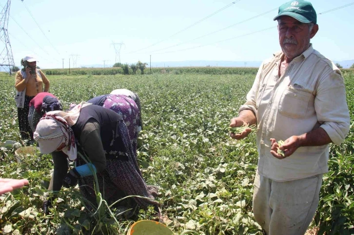 10 kilometrelik mesafede fiyatı iki katına çıkıyor
