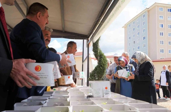 100 bin adet sebze fidesi ücretsiz dağıtıldı: Vatandaşlar alabilmek için kuyruk oluşturdu
