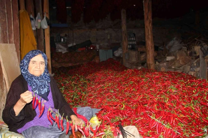 153 yıldır aynı tohumdan acı kırmızıbiber üretiyorlar
