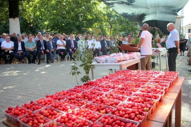 16. Şenköy Kızılcık Şenliği renkli görüntülere sahne oldu
