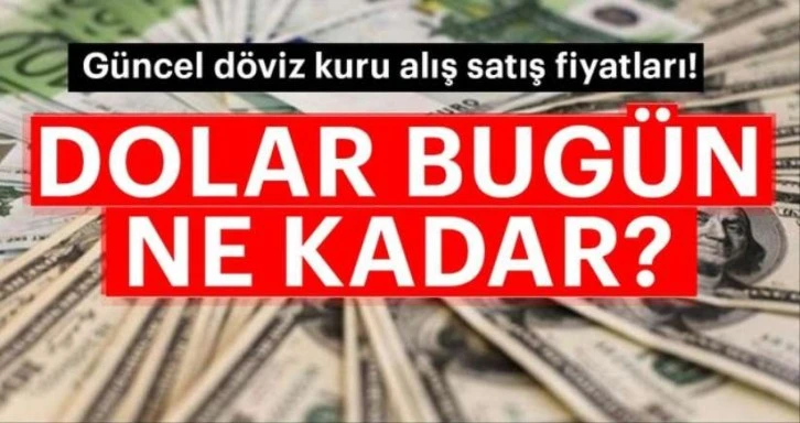 17 Kasım Dolar ve Euro ne kadar oldu? İşte güncel fiyatları...