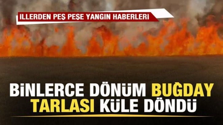 2 günde binlerce dönüm buğday tarlası kül oldu