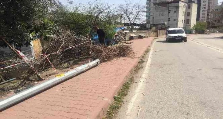 2 yıl önce kazayı kıl payı atlatan köpek bu kez kurtulamadı