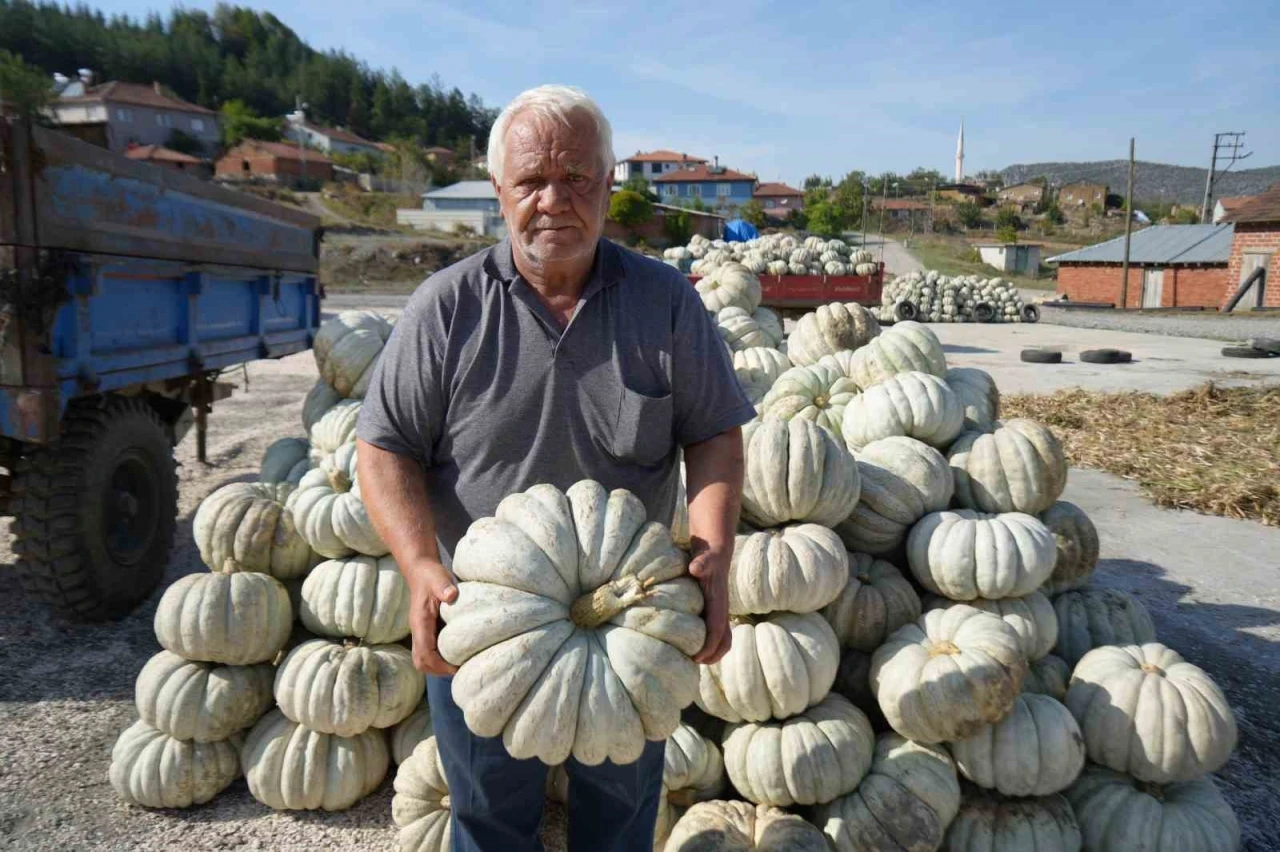 25 yıl önce deneme amaçlı ektiler, şimdi 40 şehre satıyorlar
