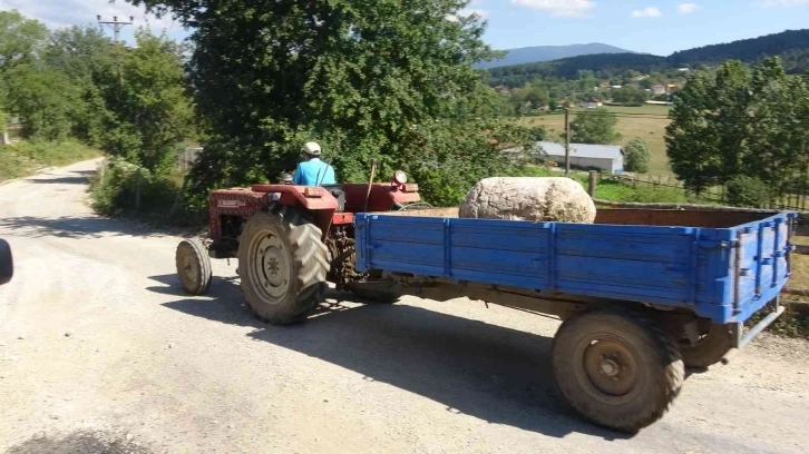 250 yıllık sütunlar kayıptı, ünlü ailenin villasında bulundu
