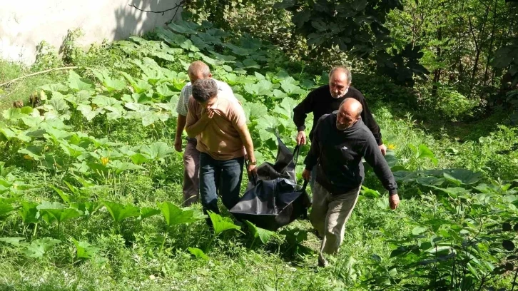 3 gündür kayıp şahsın cesedi yabani hayvanlarca parçalanmış halde bulundu
