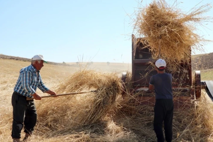 36 derece sıcakta kışlık yem mücadelesi
