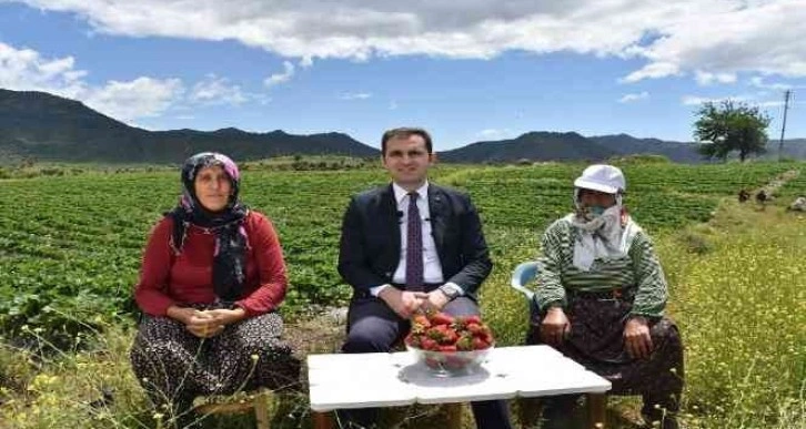 4 aile ile başlandı devlet desteğiyle 400 aileye geçim kaynağı oldu