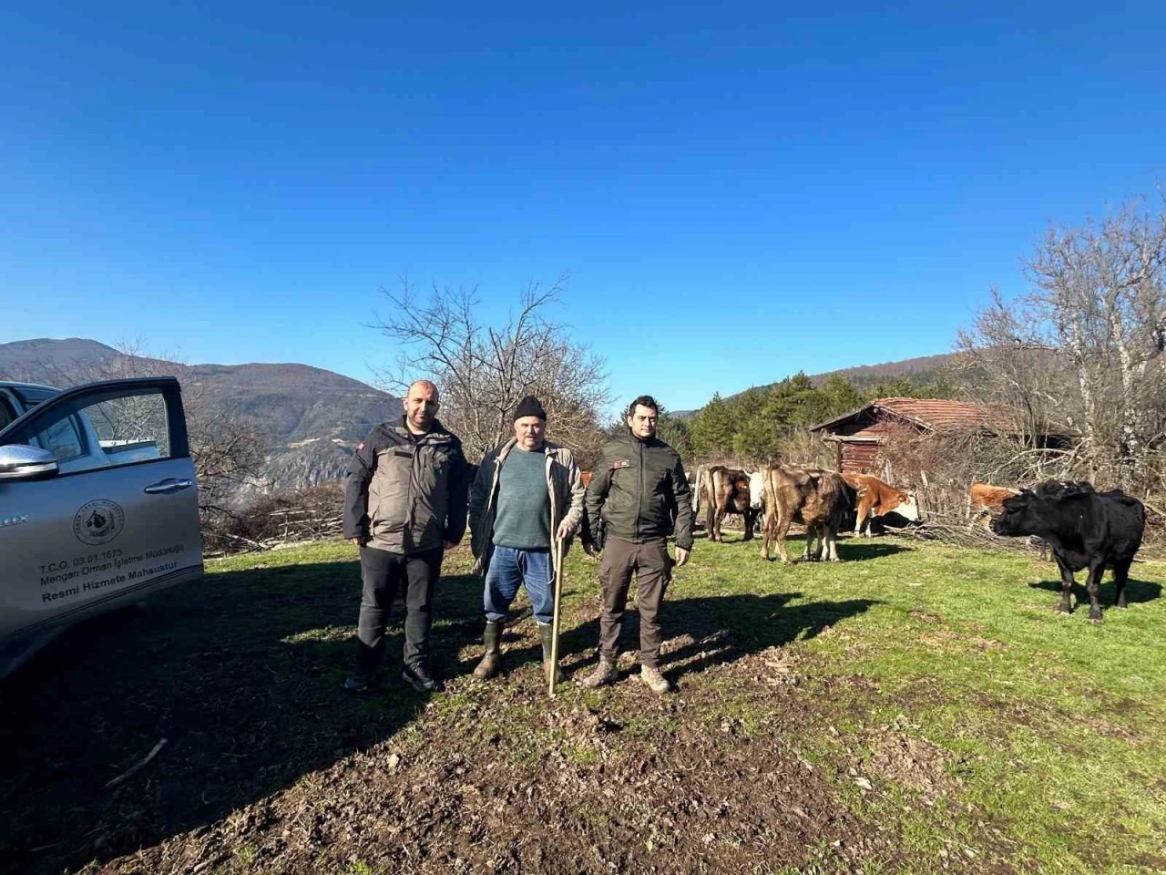 4 gündür kayıp olan büyükbaş hayvanlar dronla bulundu
