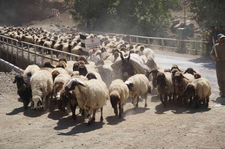 5 aydır yaylada olan göçerler dönüş yolunda
