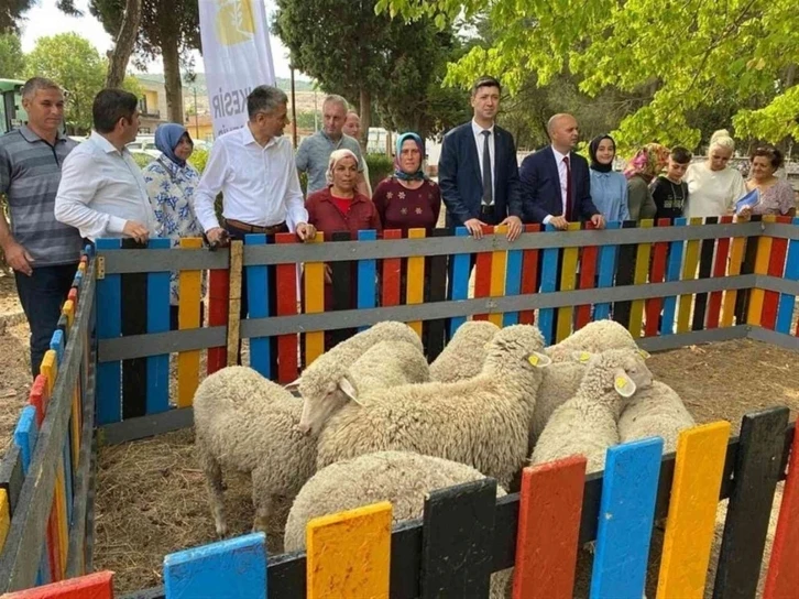 5 ton atık topladı, 10 kuzu kazandı
