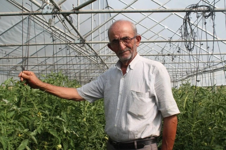 50 yıllık çiftçi ata tohumlarına gözü gibi bakıyor
