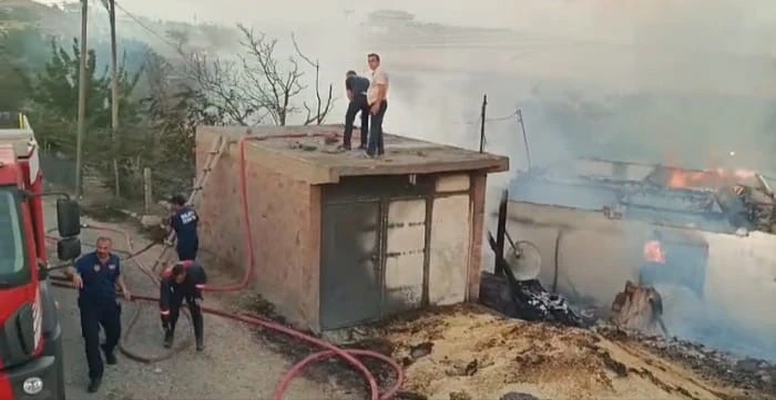 600 dönümlük alandaki anız yangınında 1 ev kül oldu
