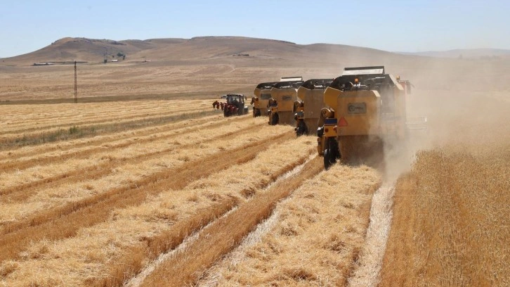 636 milyon liralık tarımsal destekleme ödemesi bugün yapılacak