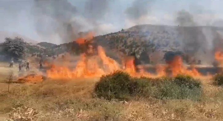 8 dönüm buğdayı hasat edemeden yandı
