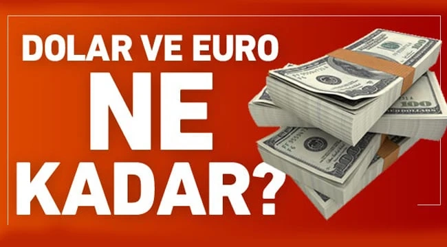 8 Şubat Döviz Kurları Ne Durumda?