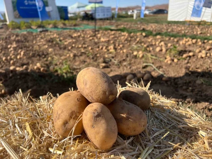 90 çeşit patates fuarda görücüye çıktı
