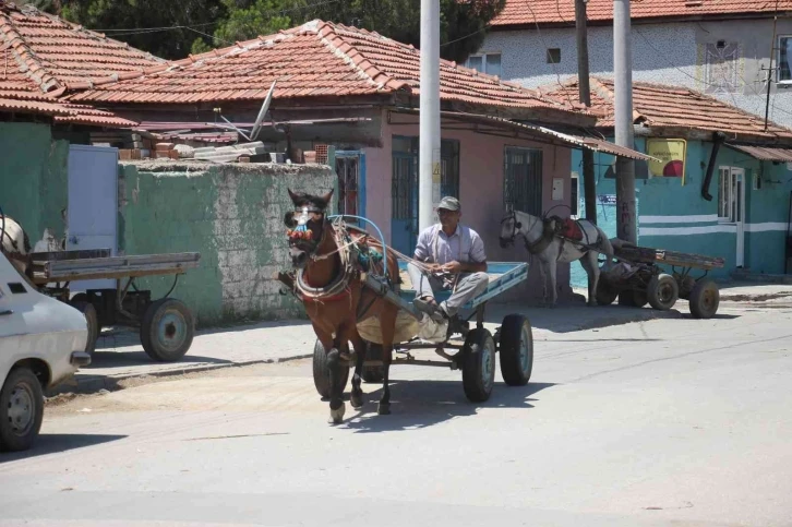 Acarlar’da at arabacılarının zorlu yaşam mücadelesi sürüyor
