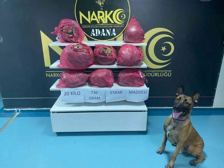 Adana’da 20 kilo 736 gram esrar ele geçirildi
