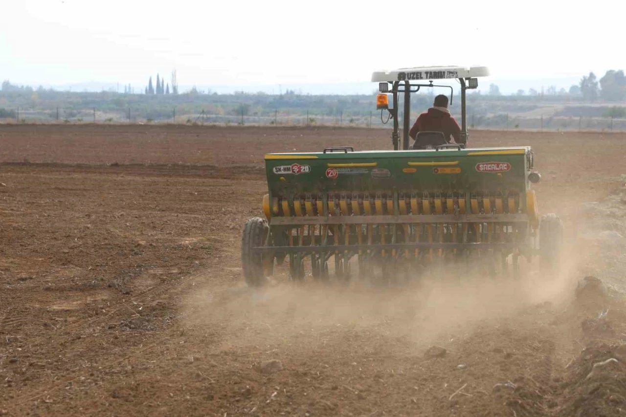 Adana’da buğday taneleri toprakla buluştu
