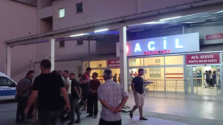 Adana’da harnup hırsızları bahçe sahiplerini vurdu: 1 ölü, 2 yaralı
