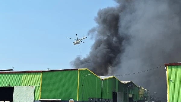 Adana'da iki fabrikada yangın (4)