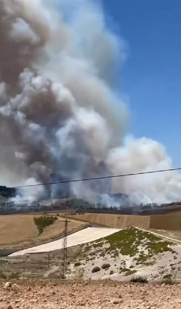 Adana'da orman yangını (1)