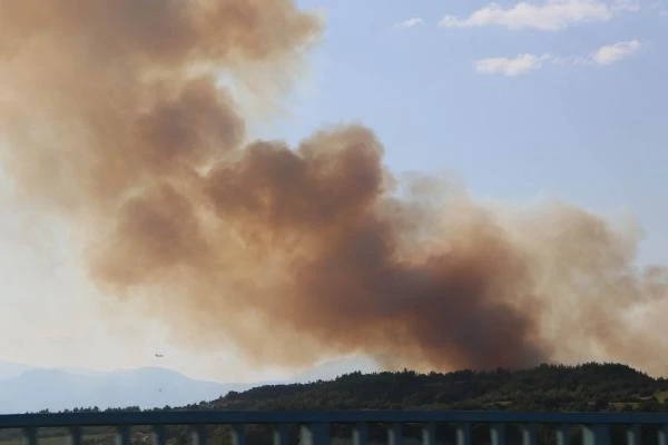 Adana'da orman yangını (2)