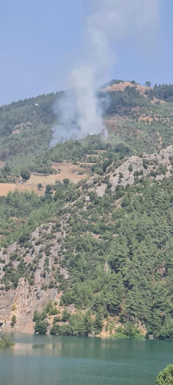 Adana'da orman yangını (2)