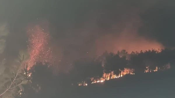 Adana'da orman yangını