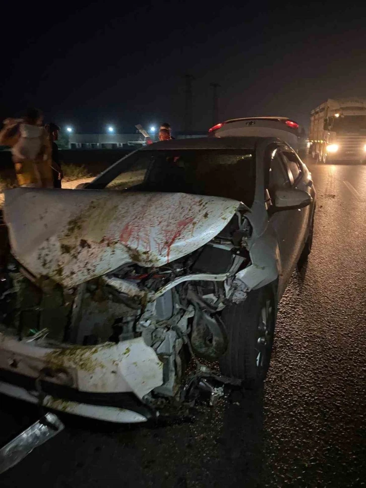 Adana’da otomobil koyun sürüsüne çarptı: 100 koyun telef oldu
