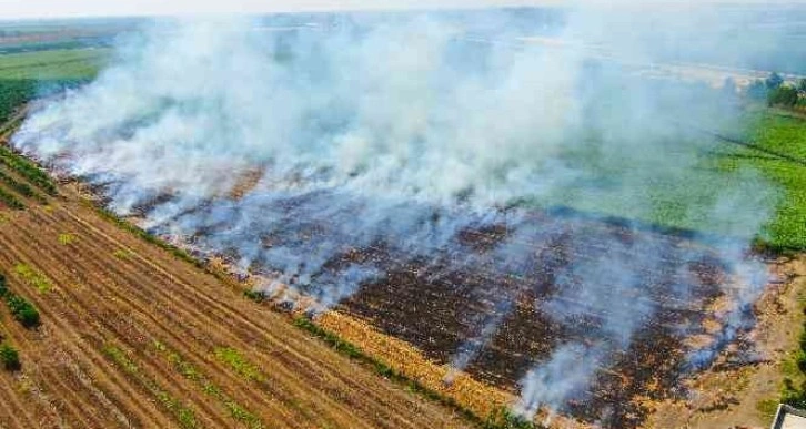 Adana’da anız yangınları kenti dumana boğuyor