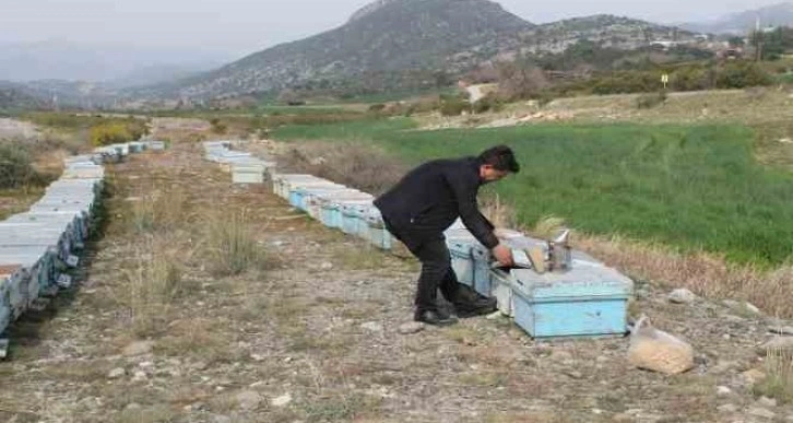 Adana’da kuraklık arıyı da vurdu