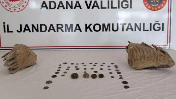 Adana’da mamut fosili ele geçirildi