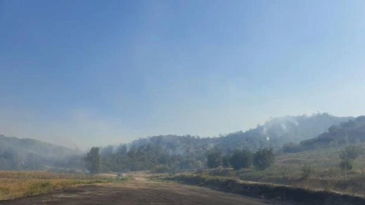 Adana'da orman yangını