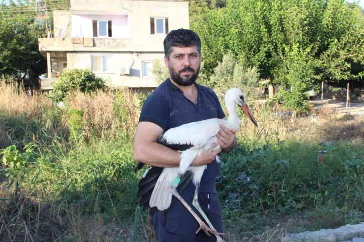 Adını "Leylektar" koydu, yorgun düşen leyleği iki gün misafir etti
