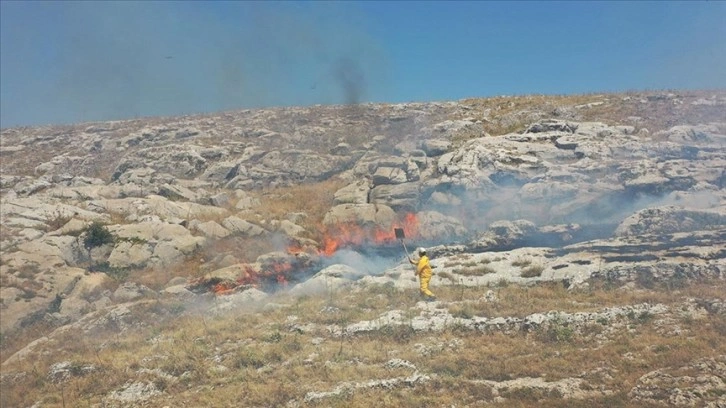 Adıyaman'da çıkan örtü yangını ormana sıçramadan söndürüldü