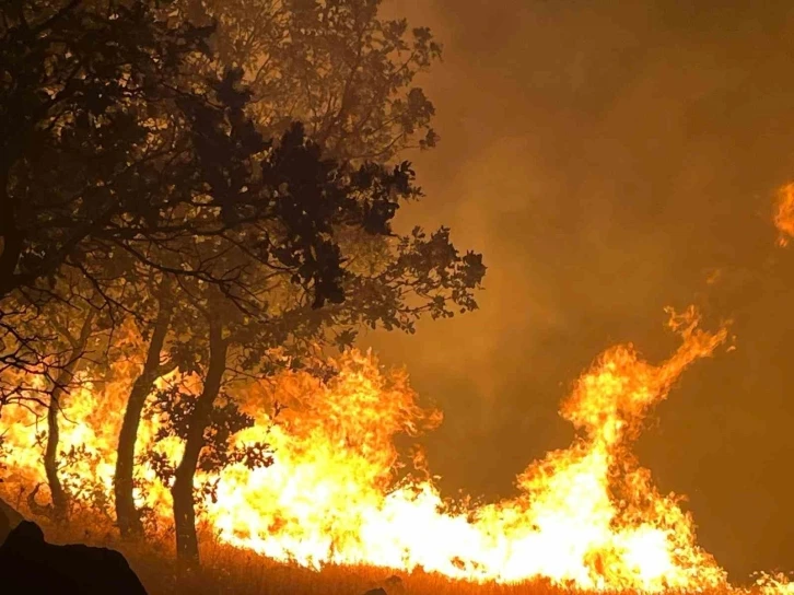 Adıyaman’daki orman yangını devam ediyor
