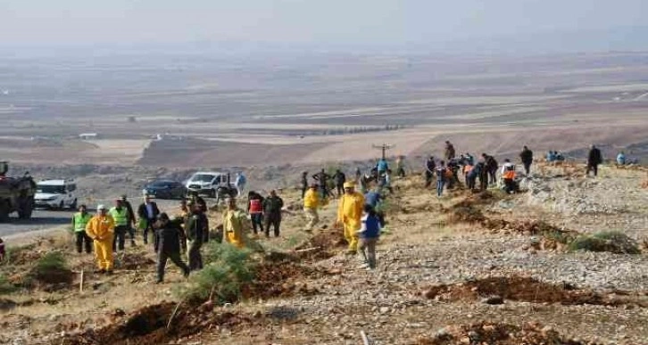 Adıyaman’da, fidanlar toprakla buluşturuldu