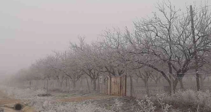 Adıyaman’da kırağı her yeri beyaza bürüdü