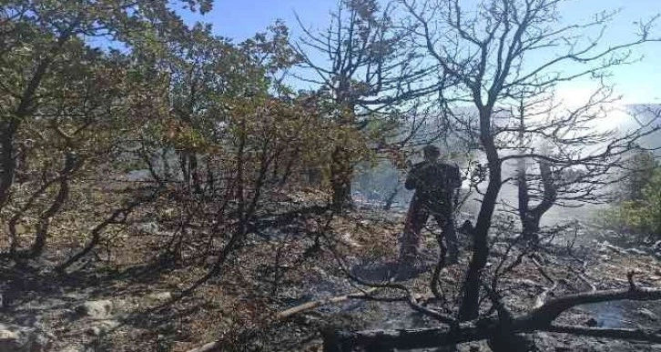 Adıyaman'daki orman yangını tamamen söndürüldü