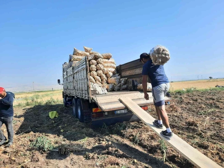 Afyonkarahisar’da 2 belde ve 16 köyün geçimini sağladığı patateste rekolte yüzleri güldürdü
