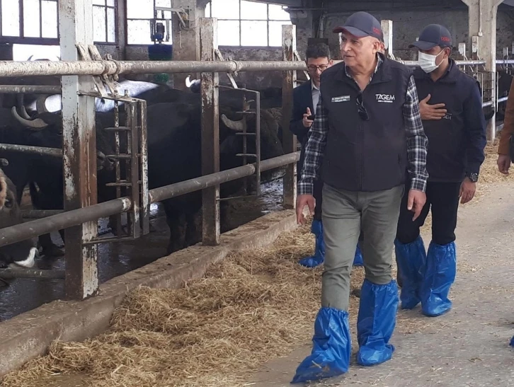 Afyonkarahisar’daki mandacılık işletmeleri incelendi
