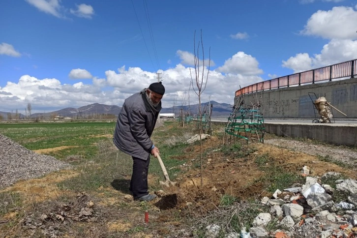 'Ağaç sever dede' diktiği bine yakın ağacın bakımını aksatmıyor