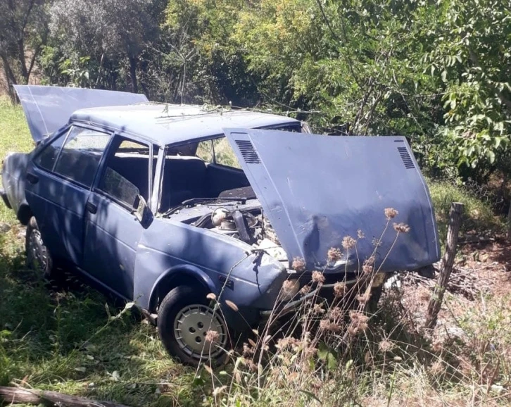 Ağaçlık alana uçan otomobilin sürücüsü yaralandı
