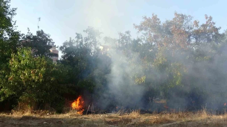 Ağaçlık alandaki yangın büyümeden söndürüldü
