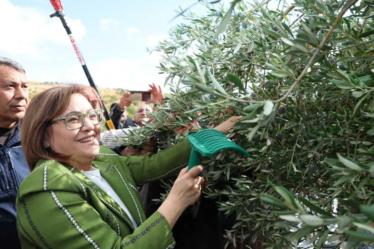 Nizip’in asırlık geçmişi zeytin festivali etkinlikleriyle yaşatılıyor