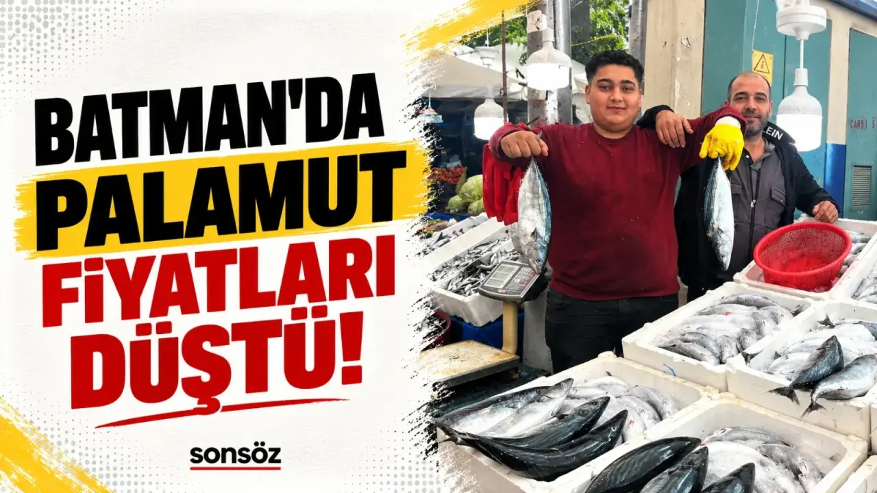 Batman’da palamut bolluğu fiyatı kilogramda 100 liraya indirdi