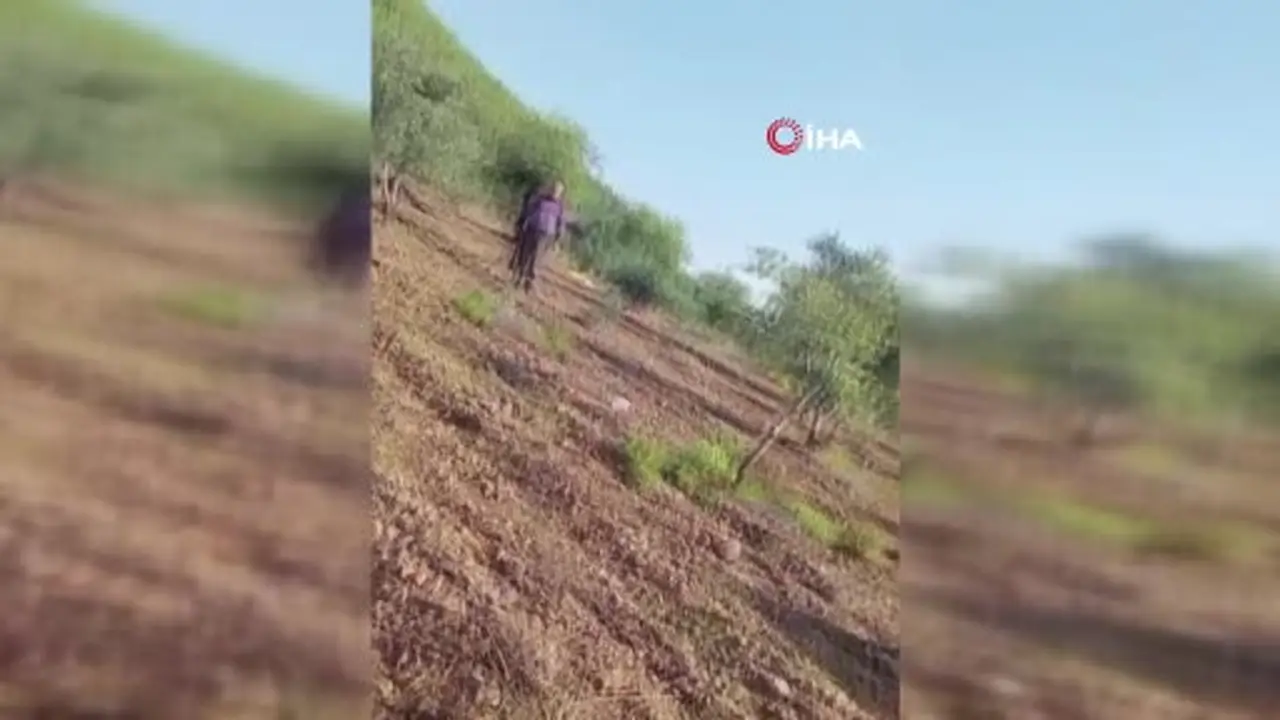 İslahiye’de zeytinlik anlaşmazlığı silahlı saldırıya dönüştü: Amca gözaltında